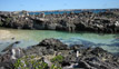 Darwin Bay - Genovesa