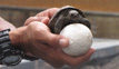 Tortoise Breeding Center - Isabela