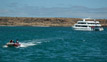 Cormorant Catamaran - North Seymour