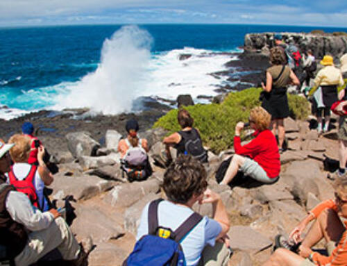 How to Find the Best Deal on a Galapagos Cruise