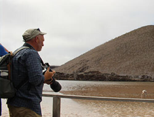 How Much Does a Galapagos Cruise Cost?