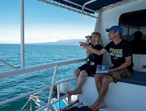 How to Charter a Luxury Yacht in Galapagos