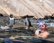 Top Snorkeling Spots in the Galapagos Islands