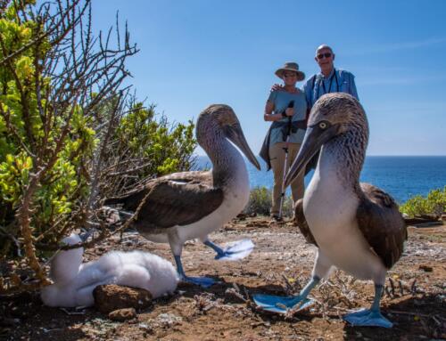 The Ultimate Thrill: A Guide to Galapagos Adventure Travel and Multi-Sport Expeditions