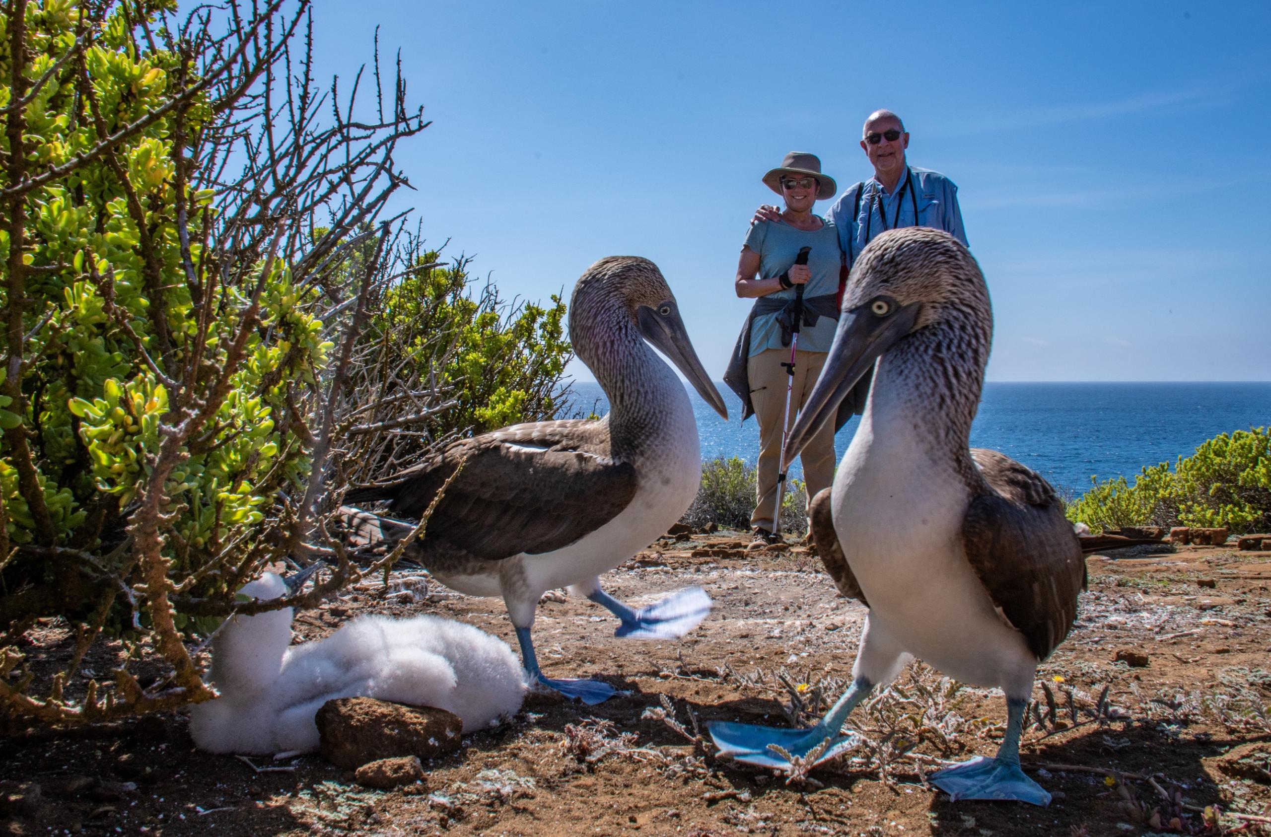 Punta Pitt San Cristobal - The Ultimate Thrill: A Guide to Galapagos Adventure Travel and Multi-Sport Expeditions