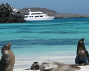 Cruising the Galapagos and Sea Lions