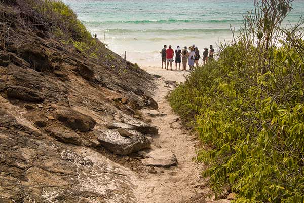 Group in a beach of Galapagos