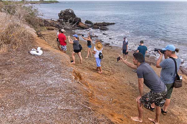 Taking pictures in Galapagos