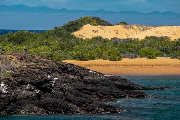 Galapagos Islands San Vicente