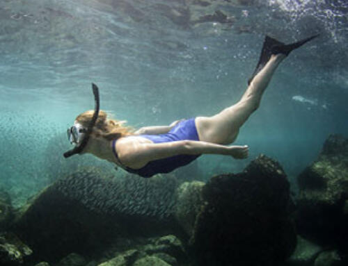 Galapagos Naturalist Explorer