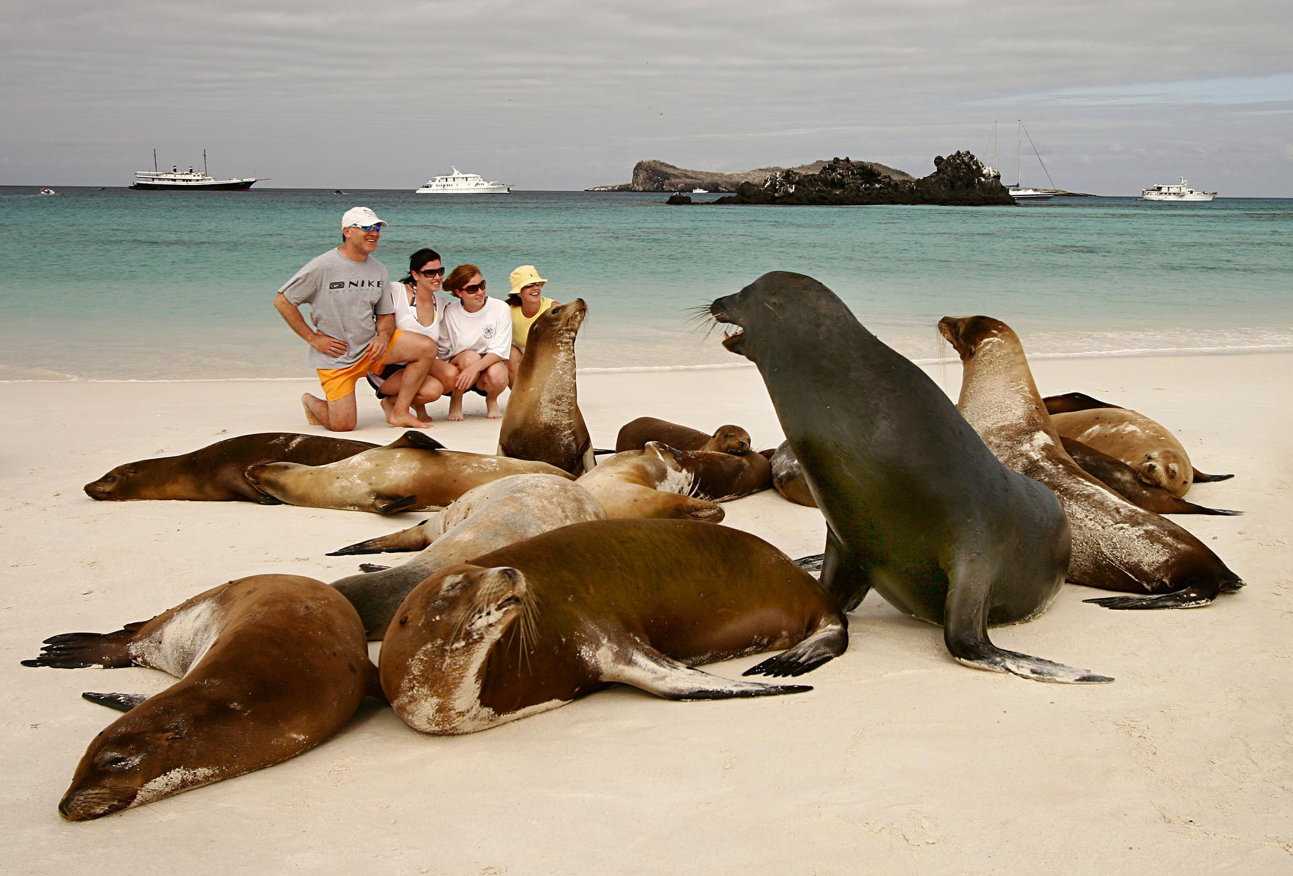Best Time of Year to Visit Galapagos Islands