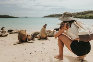 Galapagos Sea Lion - Eco-Friendly Galapagos Hotels for Responsible Travelers