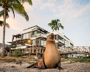 Golden Bay Hotel in Galapagos