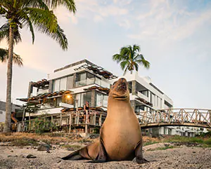 Golden Bay Hotel in Galapagos