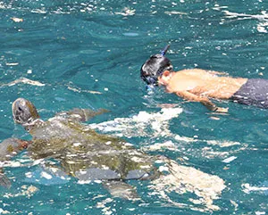 kid snorkeling with sea turtle