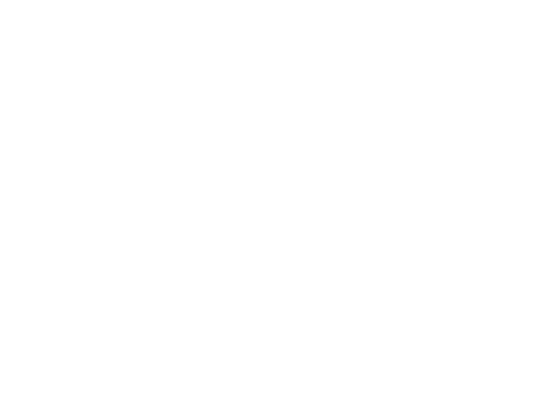fox.png