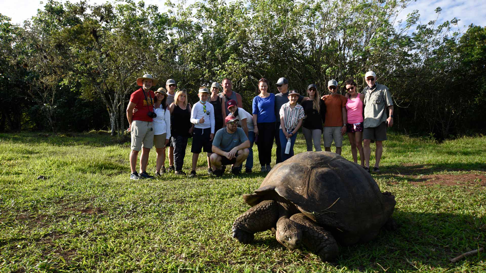 Giant tortoise