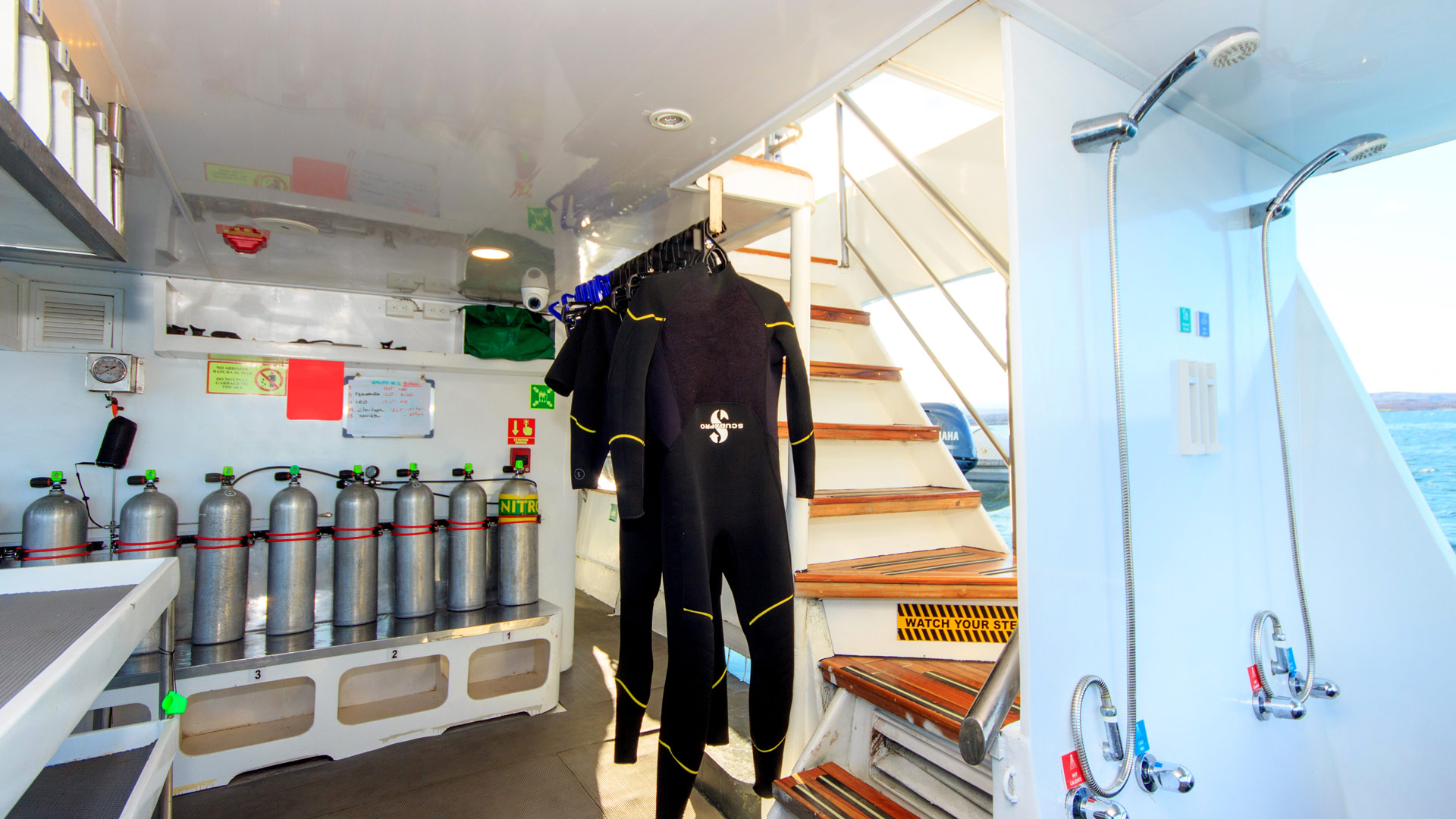 Dive platform