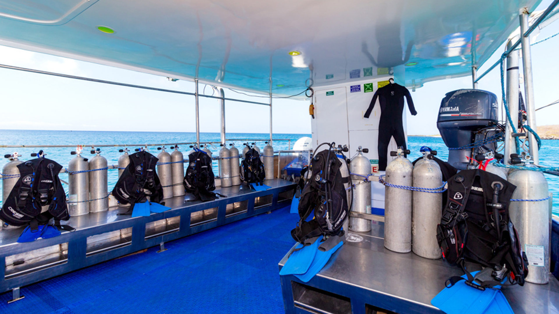 Dive platform