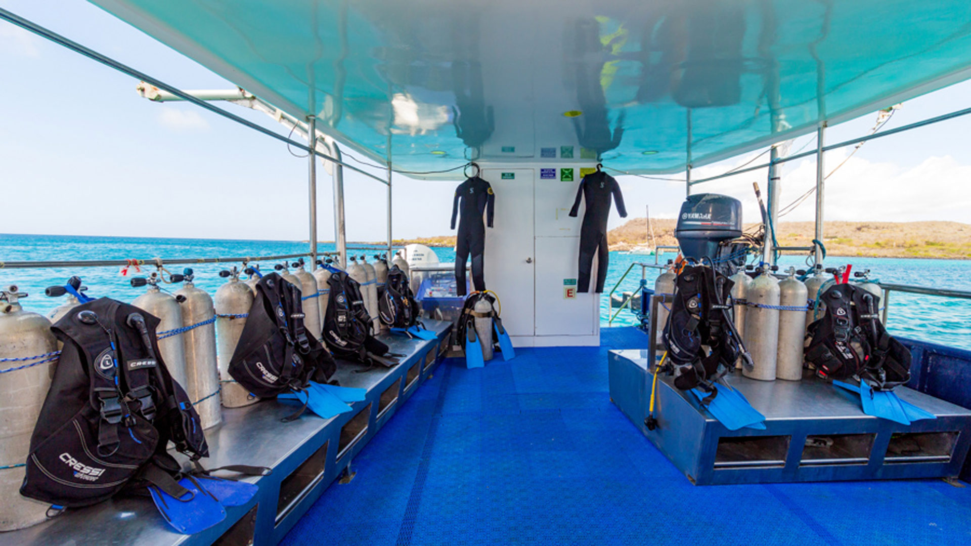 Diving
