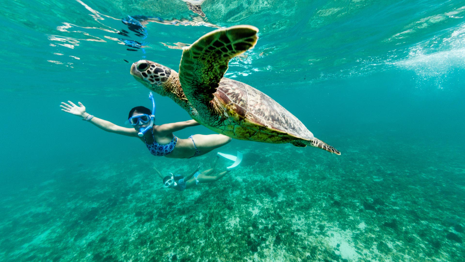 Snorkelling