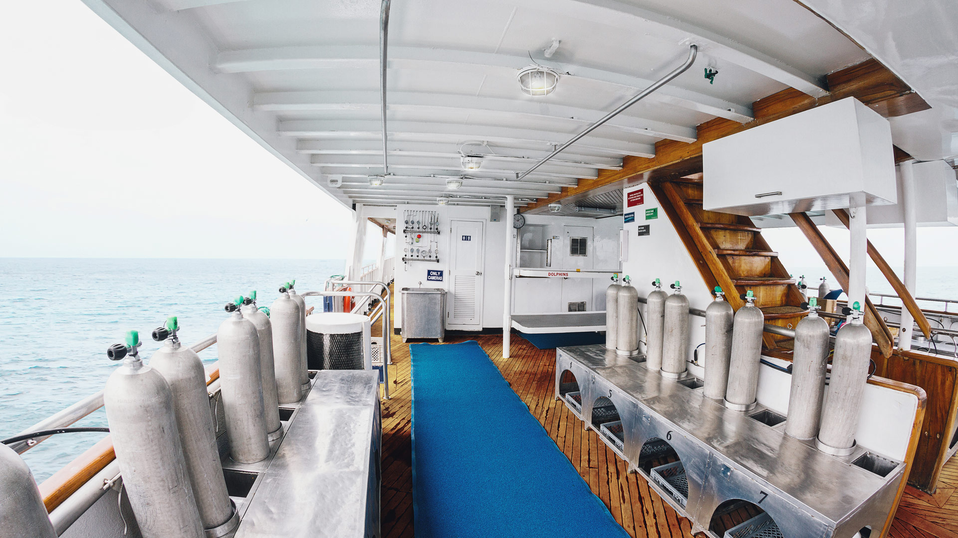 Dive platform
