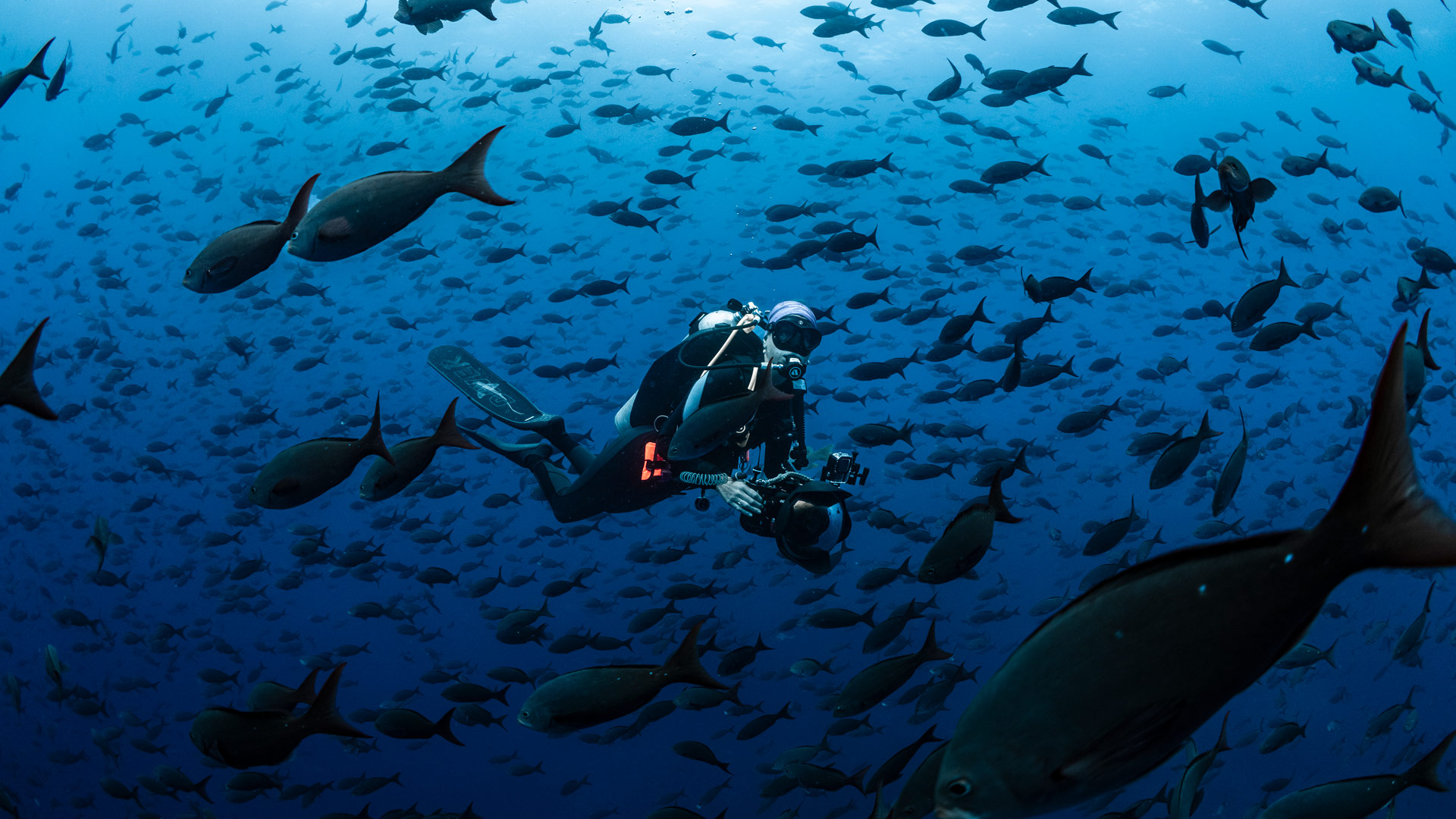 Diving