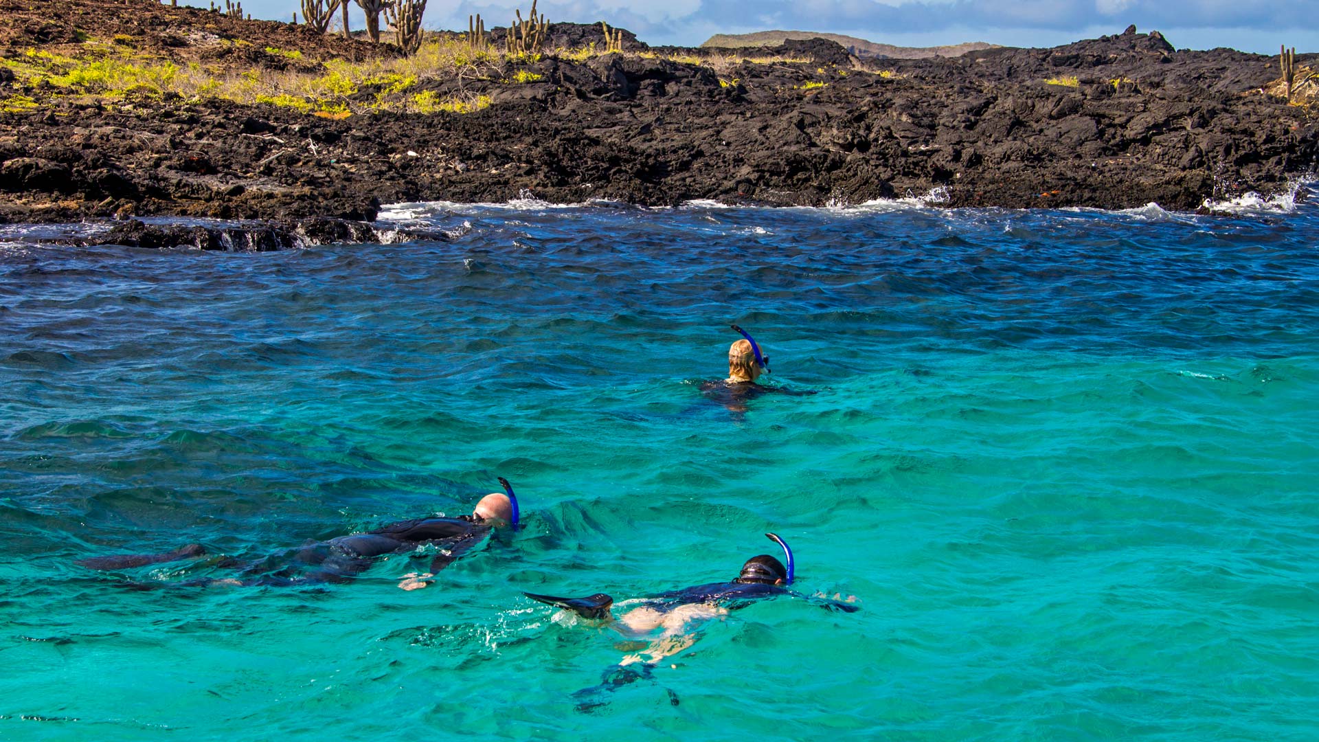 Snorkelling