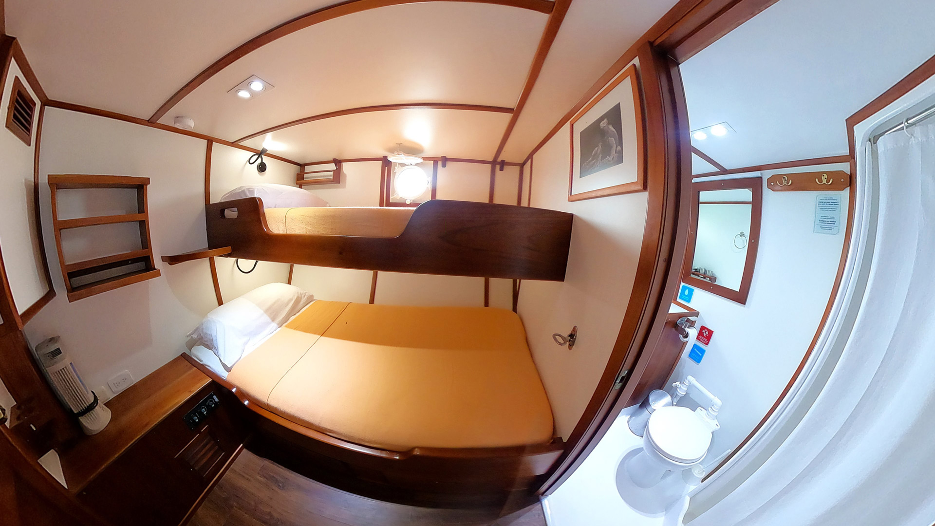 Cabin 6