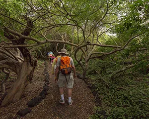 Hiking Tour in Galapagos