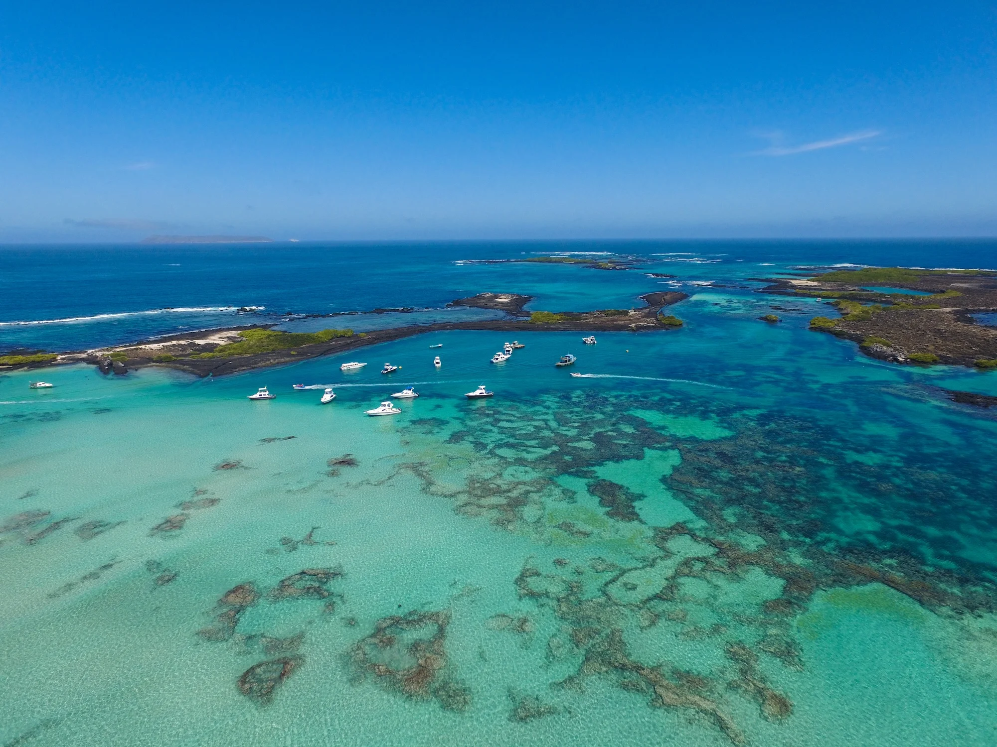 isabela island galapagos Best Time of Year to Visit Galapagos Islands